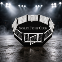 Gritty arena spotlights with soft smoke